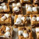 S'mores Cookie Bars (Recipe + Video) - featured image